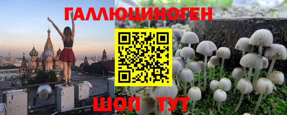 Галлюциногенные грибы Magic Shrooms Калининград
